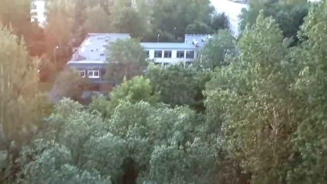 белые ночи в санкт-петербурге 2012 06 29 смотреть онлайн