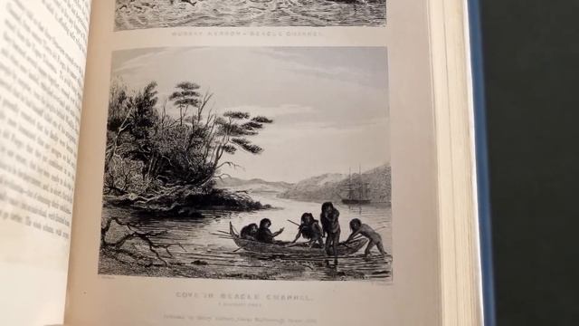 Darwin and the Beagle - Objectivity 86 смотреть онлайн