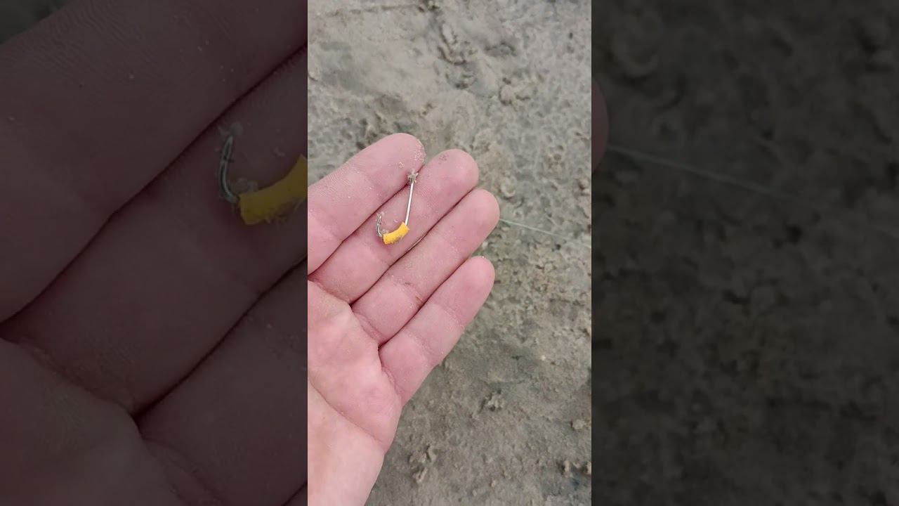 Оснастка донки с которой минимум сходов и холостых поклевок. Пришёл к ней методом проб и ошибок. смотреть онлайн