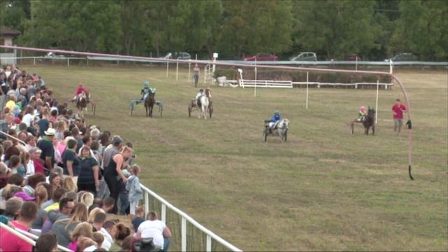 Slovak Mini Trotter Cup 2017 - Cena PD Senica смотреть онлайн