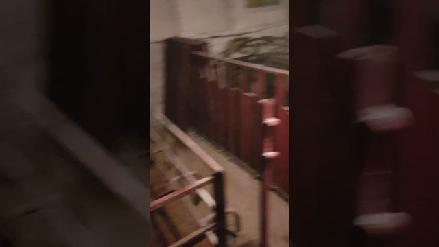 Світло в свинарнику. Ремонт? смотреть онлайн