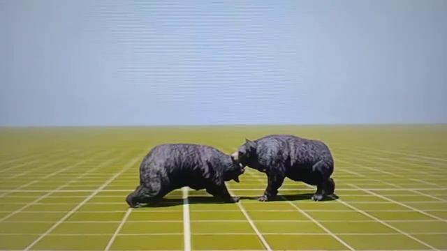 Два медведя дерутся между собой