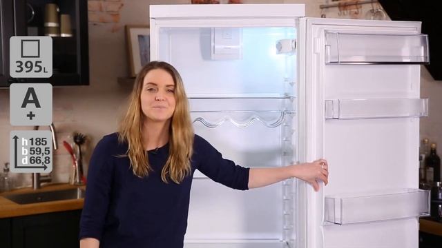 Electrolux ERF4115DOW Kylskåp смотреть онлайн