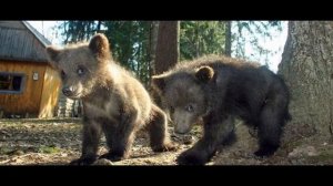 А вы знаете ПОЛНУЮ версию «Мишка косолапый'' ?