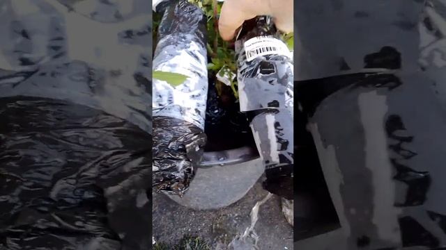 как сохранить черенки роз до посадки смотреть онлайн