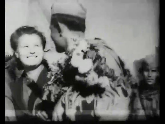 Летят перелётные птицы смотреть онлайн