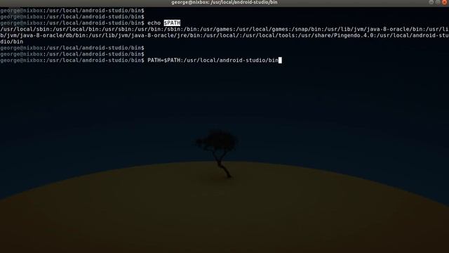 How to Add a Program to Your Path Environment Variable in Linux смотреть онлайн