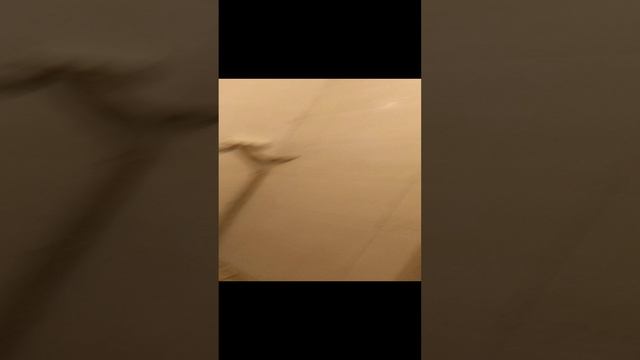 фугуем плитку