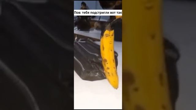 не пов а рил смотреть онлайн