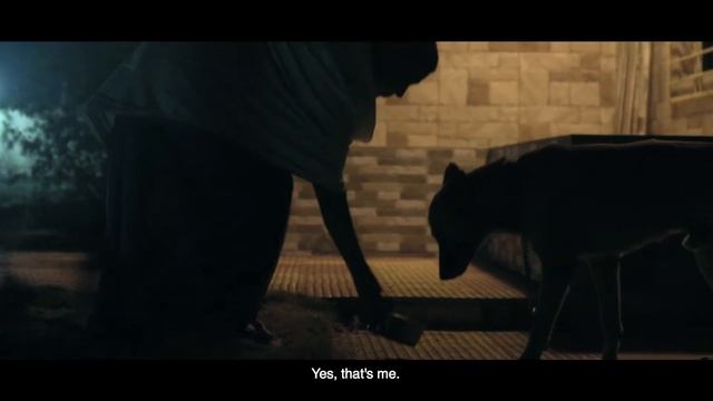 Lost and Hound // Short Film // Teaser // Pocket Films смотреть онлайн