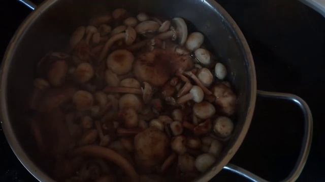 Опята грибы как готовить смотреть онлайн