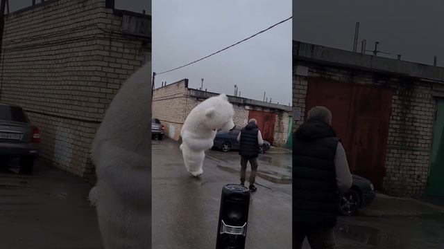 Мужчина отмечал в гараже день рождения и не о чём не подозревал 🍾 сюрприз от жены #белыймедведь смотреть онлайн