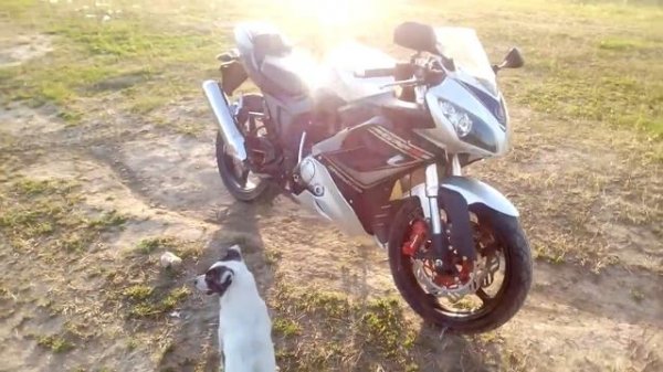 Мотоцикл GX-R250, аналог Falcon Speedfire 250