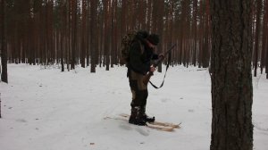 Поиск глухариного тока. Зимняя охота. Как найти ток в лесу.