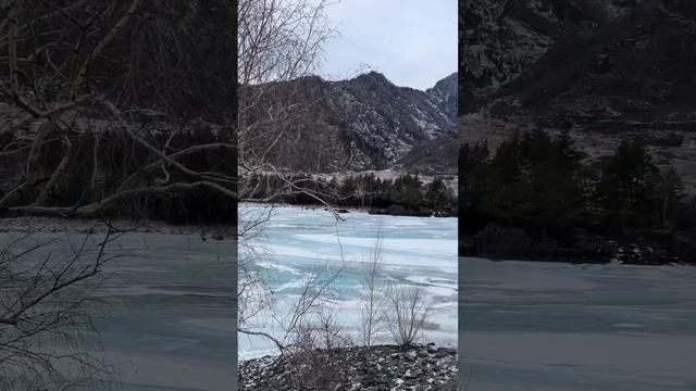 Любимый Алтай♥️ #altay #горныйалтай #россия #russia #travel #сибирь #алтай #nature #syberia #2024 смотреть онлайн