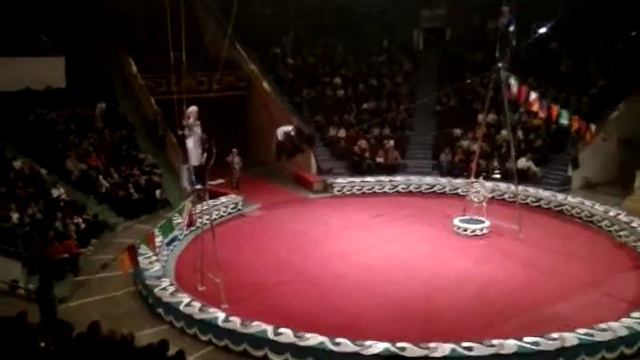 Трюк из книги рекордов Гиннеса смотреть онлайн