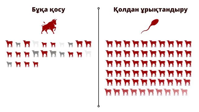 БҰҚА МА ҰРЫҚ ПА? - ЖӨНІН АЙТСАҚ смотреть онлайн
