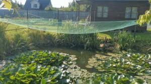 Высокий уровень грунтовых вод позволяет дёшево получить пруд на участке...