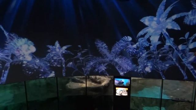 Япония. 1) Путешествие в Океанариум Аква-Музей острова Хаккейдсима / Hakkeijima Island Yokohama смотреть онлайн