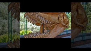 История Доисторического Кашалота Левиафан Мелвилла