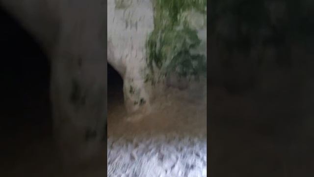 Путешествие в Эстонию 2018(27) смотреть онлайн