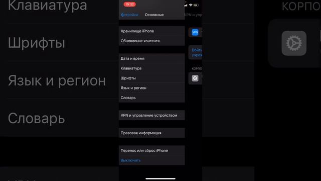 Лучшие друзья