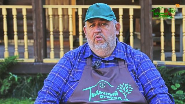 Как правильно посадить тюльпаны! смотреть онлайн