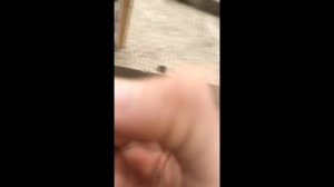 Замена поршня Beta xtrainer 300