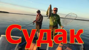 Береговой35 #1 Судак на джиг Шекснинское водохранилище