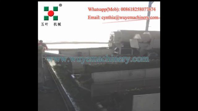 pea sheller green peas machine pea shelling machine смотреть онлайн
