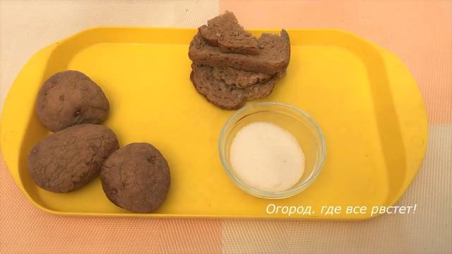 541. После таких подкормок не узнаете свою рассаду смотреть онлайн