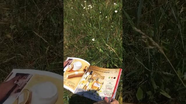 Листаем каталог #10 смотреть онлайн