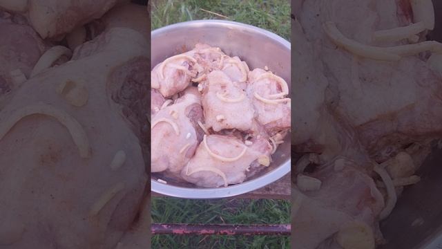 Как за 100 рублей приготовить шашлык?!!!Маринад шашлыка.