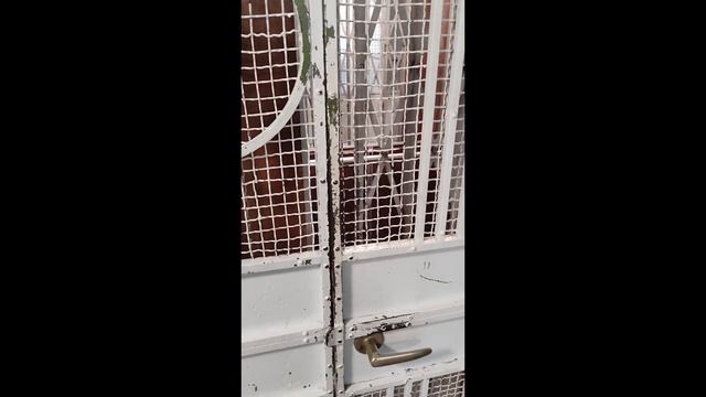 Обзор квартиры в Хельсинки. Это вам не Испания! смотреть онлайн