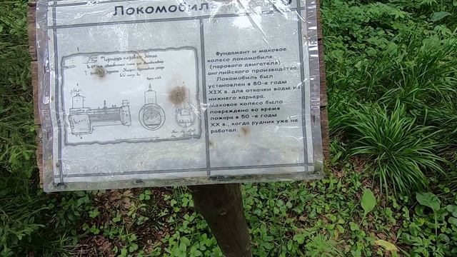 Природный парк "Оленьи ручьи" на велосипеде. смотреть онлайн