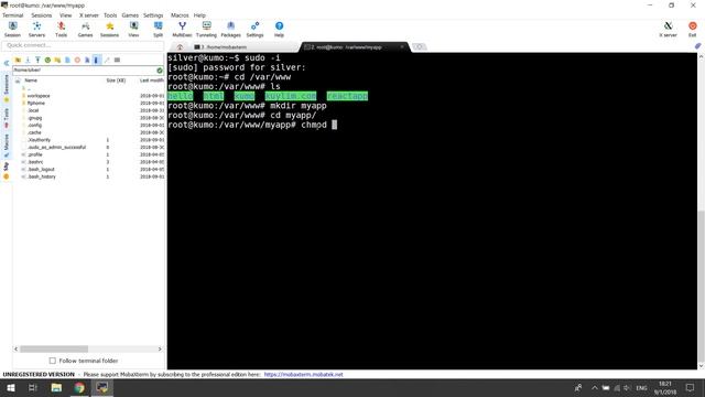 How to install Nginx on Ubuntu 18.04 | Khmer смотреть онлайн