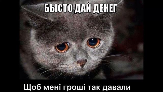 Не хочет идти на роботу😂😂😂 смотреть онлайн