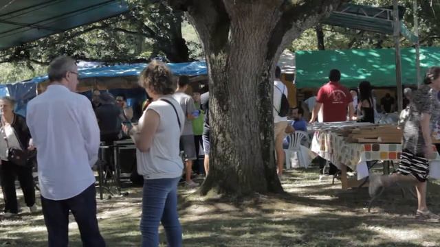 Pemento de Mougán: Fiesta 2015 смотреть онлайн