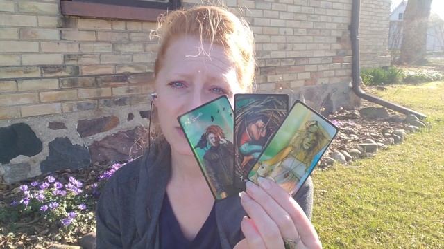 Clarity Will Come In Divine Timing - Tarot Reading And Oracle Card Message For All Zodiac Signs смотреть онлайн