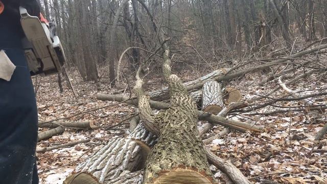 How to turn 75’ locust tree into outdoor boiler firewood смотреть онлайн