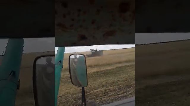 ск6 колос смотреть онлайн
