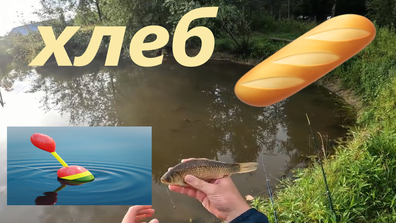 Ловлю КРУПНОГО КАРАСЯ на хлеб на маленьком пруду!!! смотреть онлайн
