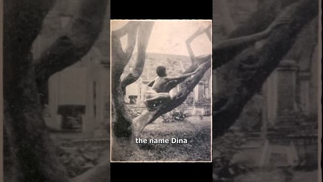 The Original Jungle Book ? (sad) смотреть онлайн