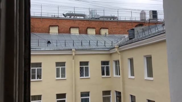 В гостях на Адмиралтейской метро, Санкт-Петербург, "Дворы коммуналки" смотреть онлайн