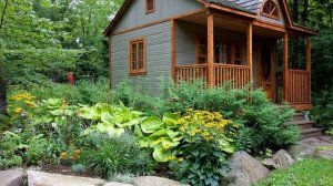 дачка дачка