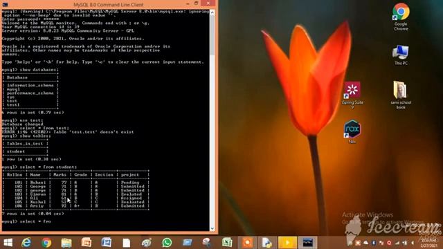 CBSE-Class12-Ch 15 - Interface Python with MySQL - update,delete queries - Sumitha Arora - Eng смотреть онлайн