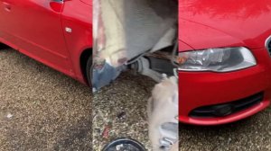 How to replace Audi A4 B7 Front Wing