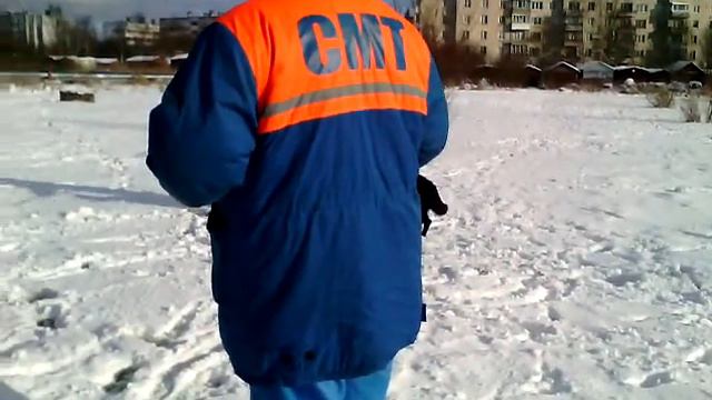 Прогулка с собаками смотреть онлайн