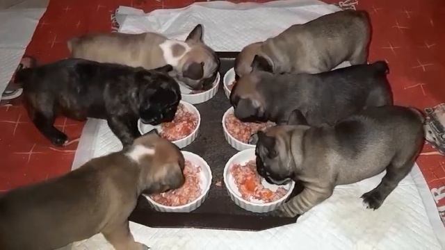 5 марта 2023 г.