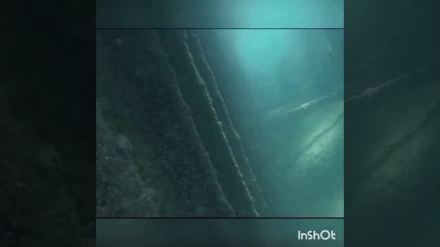 С маской и трубкой на затонувшем судне #дядяколя смотреть онлайн